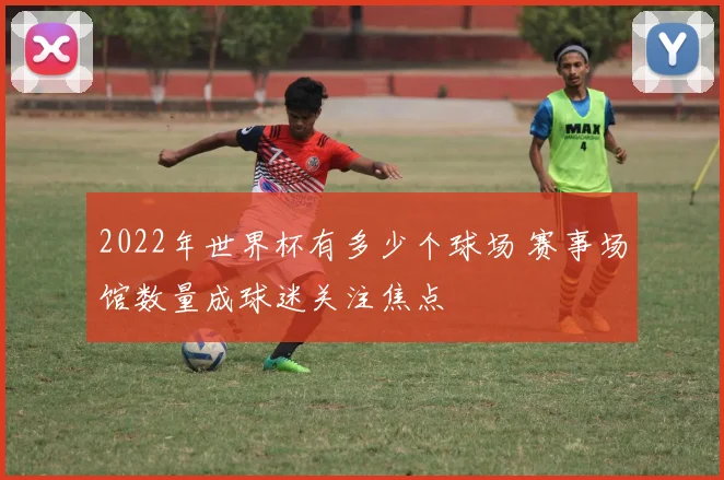 2022年世界杯有多少个球场 赛事场馆数量成球迷关注焦点