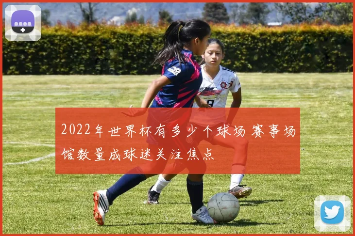 2022年世界杯有多少个球场 赛事场馆数量成球迷关注焦点