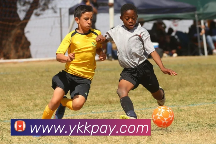 乐竞体育首页发展历程